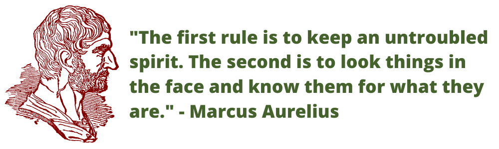 Marcus Aurelius See Things For What they Area