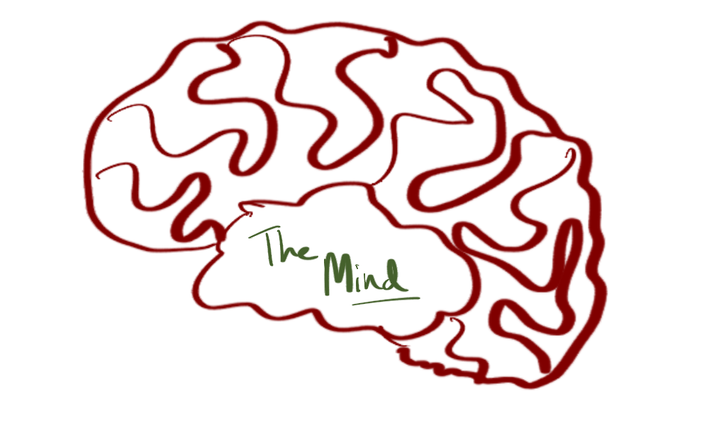 Building The Mind - Sketch of the human brain